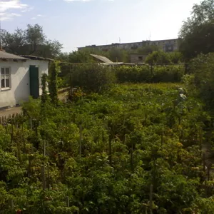 продаётся дом (705)1831021