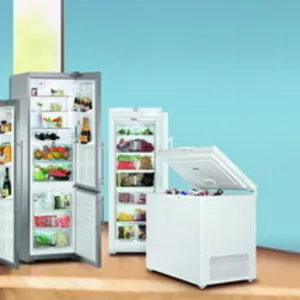 Интернет-магазин холодильного и морозильного оборудования Liebherr!