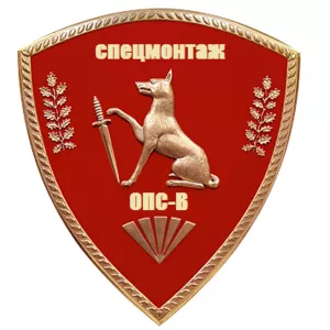ИП СпецМонтаж ОПС-В  Компания предоставляет услуг