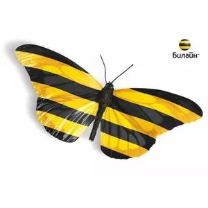 VIP номер BEELINE 