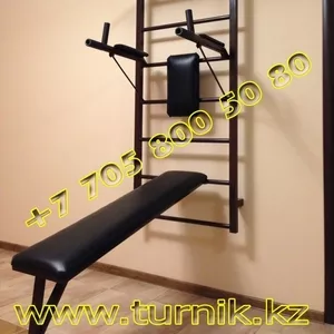 Купить турник настенный для дома и офиса в Алматы,  Астане,  Караганде