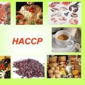 Курс 