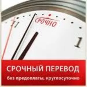 англо-русский перевод,  срочно и качественно и недорого