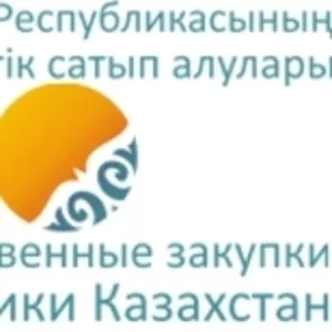 Подготовка документов для участия в тендерах и электронных государстве