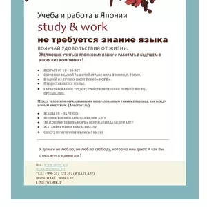 Учеба и работа в Японии!!!