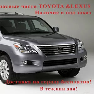 Насосы и фильтры топливные Toyota Lexus