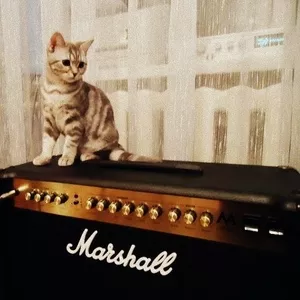 Гитарный усилитель Marshall ma50c