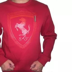 Спортивная толстовка Puma Ferrari