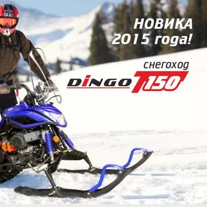 Разборный снегоход Irbis Dingo T150