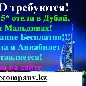 Работа в ОАЭ,  Катаре,  Турции,  Мальдивах и США!!!