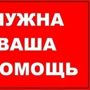 Помогите с деньгами безвозмездно взамен могу предложить Бизнес идеи