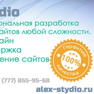 Профессиональная разработка сайтов Alex-Stydio