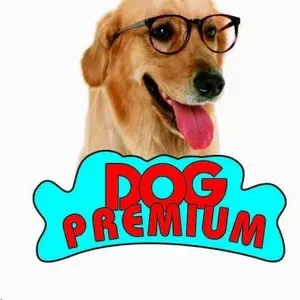 Ветеринарная клиника Dog Premium на Зимней улице