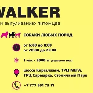 Выгуливание собак