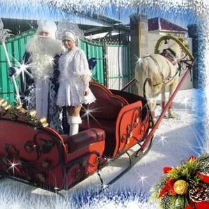 катание на санях с дедом Морозом и снегурочкой