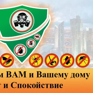 Мы осуществляет дезинфекцию,  дезинсекцию и дератизацию