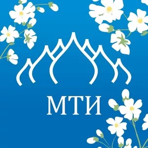 МОСКОВСКИЙ ТЕХНОЛОГИЧЕСКИЙ ИНСТИТУТ