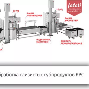 Линия обработки слизистых субпродуктов КРС Feleti