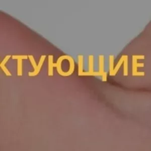 Ремонт компьютеров и ноутбуков в Астане