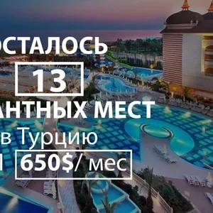 Работа в лучших 5* отелях Турции