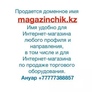 Продается доменное имя magazinchik