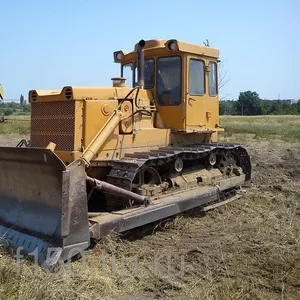 Услуги,  аренда,  заказ бульдозера