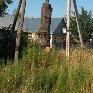 Спилим,  обрежем деревья. Верхолаз (арборист) Евгений,  спецтехника.