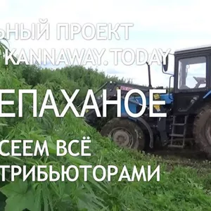 требуются партнеры в новую компанию 