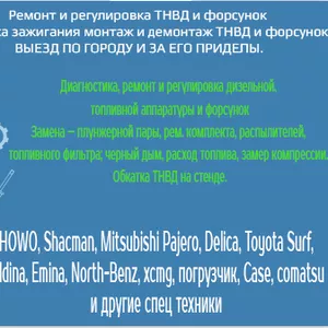 Ремонт и регулировка ТНВД и форсунок,  выезд по Алматы и за пределы