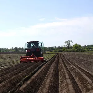 Механизированные работы. Грядообразование. 