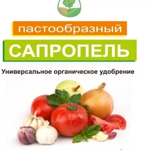 Пастообразный Сапропель. Универсальное органическое удобрение.