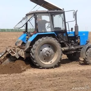 Услуги,  аренда,  заказ бары
