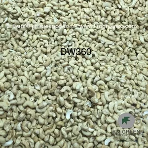 Vietnamese Cashew Nut Kernel DW360