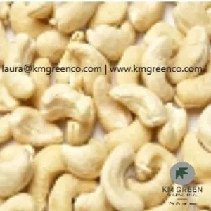 Vietnamese Cashew Nut Kernel WW240,  WW320