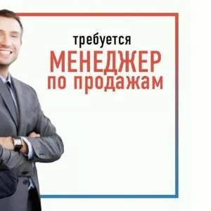 Требуется менеджер на постоянную работу