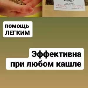 ✅Предлагаем сушеную азиатскую медведку из Китая и Таиланда ⭐Фабричная⚡