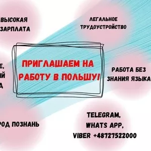 Приглашаем граждан Казахстана и Кыргызстана на работу в Польшу