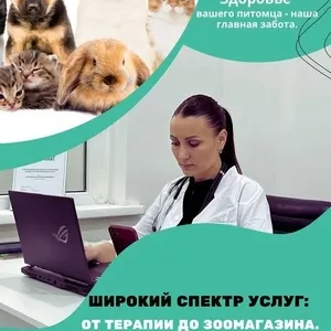 ProVet Clinic в Алматы: Все для здоровья вашего питомца!