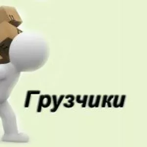 Услуги Грузчиков разборка сборка мебели