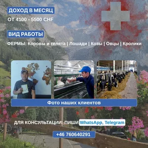 Pабота на фeрме в Швейцарии