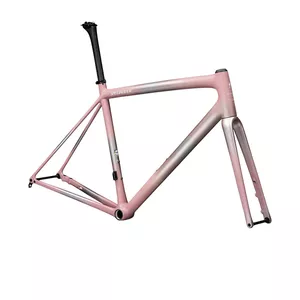 2025 Specialized Aethos Frameset (ALANBIKESHOP)