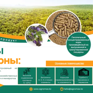 Гранулы из люцерны,  люцерна в гранулах,  корм гранулы