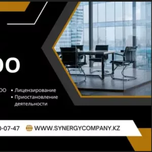 SYNERGY COMPANY - Продажа готовых ТОО по всему Казахстану (synergycomp