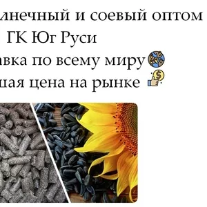 Шрот подсолнечный и соевый оптом в Казахстане от ГК Юг Руси