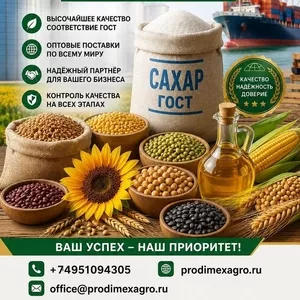 Сахар ГОСТ,  зерновые,  бобовые и масличные культуры оптом в Казахстане