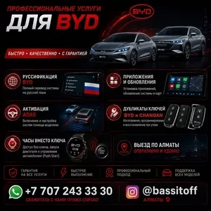  BYD  профессиональные услуги в Алматы