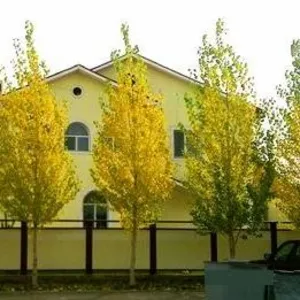 Коттедж отличный дом,  полностью мебелированный